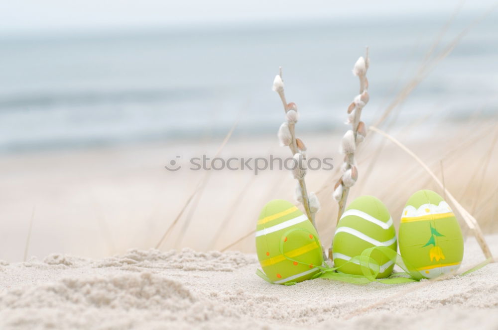 Similar – Image, Stock Photo summertime Playing