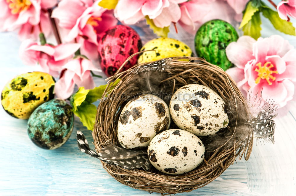 Similar – Image, Stock Photo Two white Easter eggs with red dots in the straw