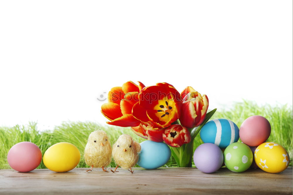 Similar – hen print Food Easter