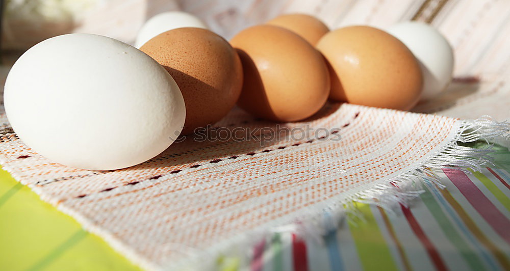 Similar – Image, Stock Photo Ei, ei, ei Food Brown