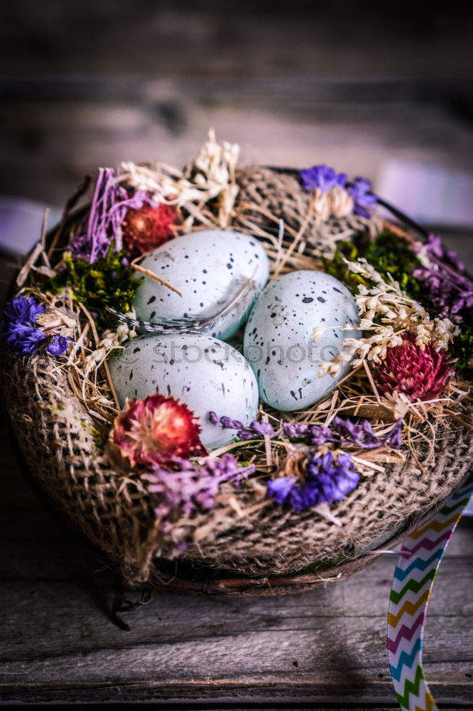 Similar – Image, Stock Photo Christmas decorations and red glass balls