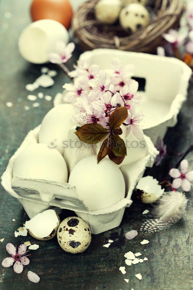 Similar – Image, Stock Photo Easter greeting card and nest with eggs