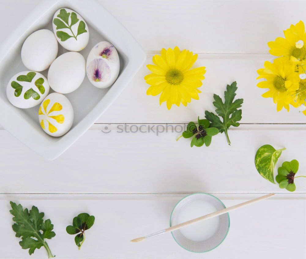 Similar – Blue plates with knife, fork and spring flowers