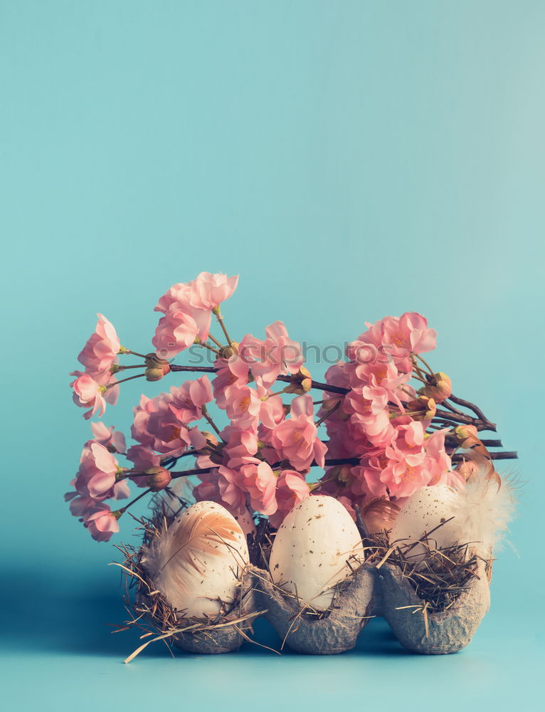 Similar – Image, Stock Photo Easter card with eggs and pink flowers decoration