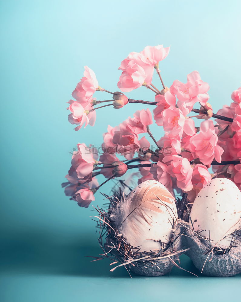 Image, Stock Photo Easter card with eggs and pink flowers decoration