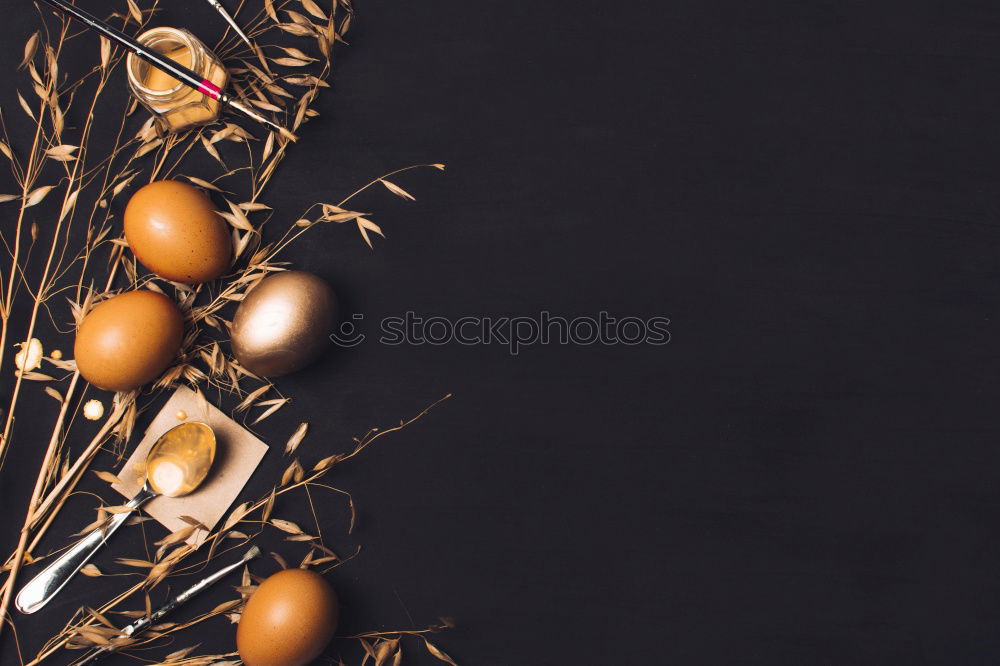 Similar – Image, Stock Photo Oranges on dark background