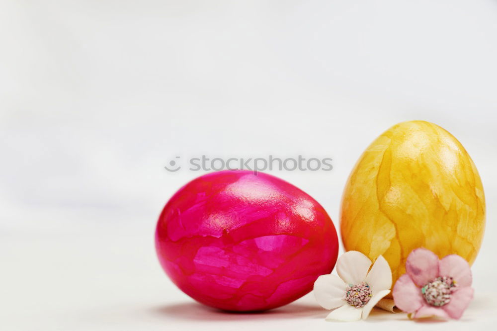 Similar – Image, Stock Photo Two white Easter eggs with red dots in the straw