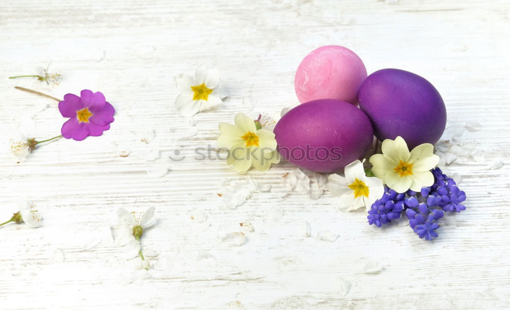 Similar – Image, Stock Photo Hanging Easter eggs with pink flowers