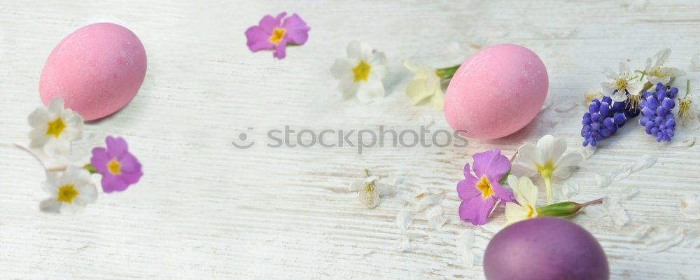 Similar – Image, Stock Photo Hanging Easter eggs with pink flowers