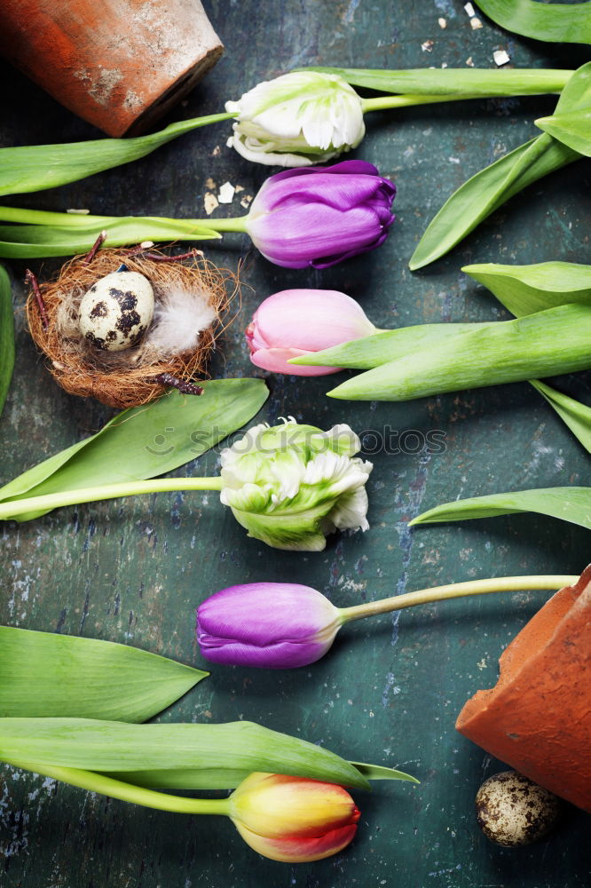 Similar – Bouquet with decoration and greeting card