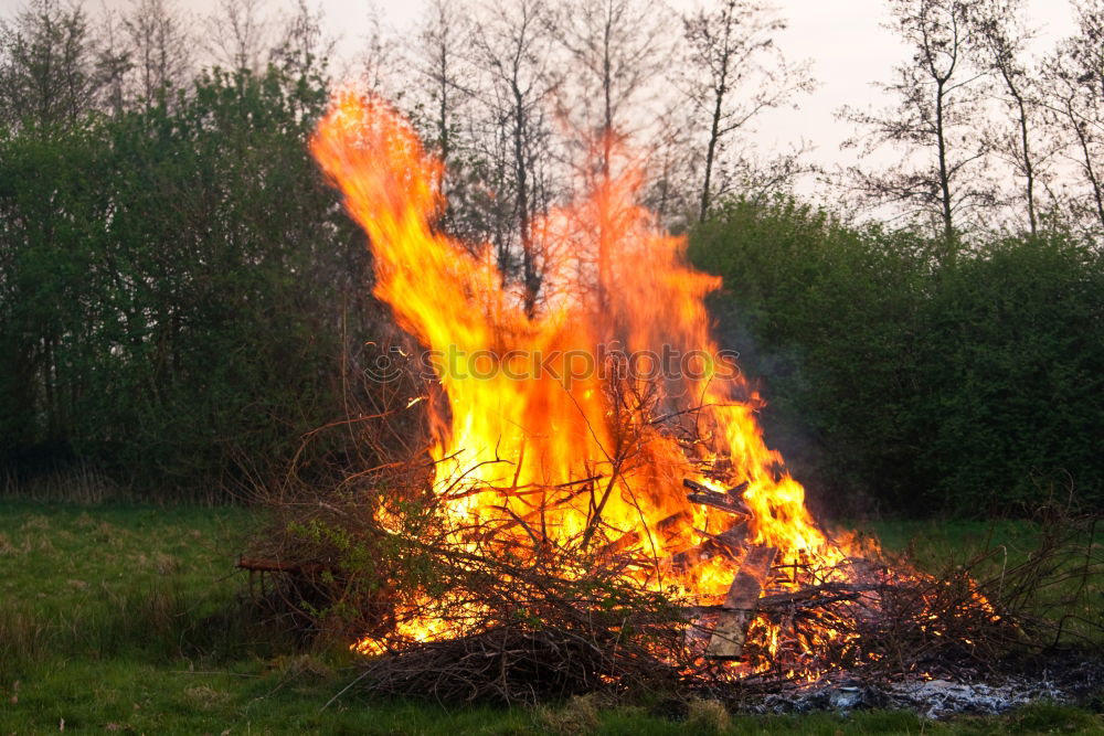 Similar – Image, Stock Photo fire Arm Hand Grass