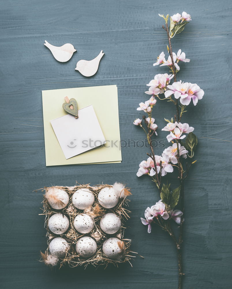 Similar – Osren greeting card mock up with nest and eggs