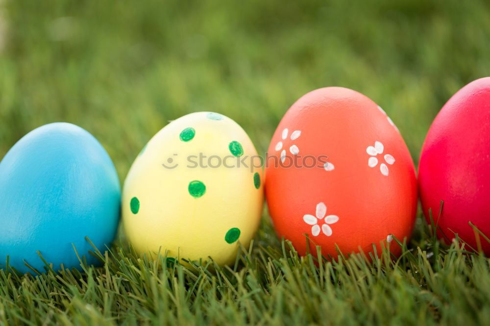 Similar – Easter egg hunt Nature