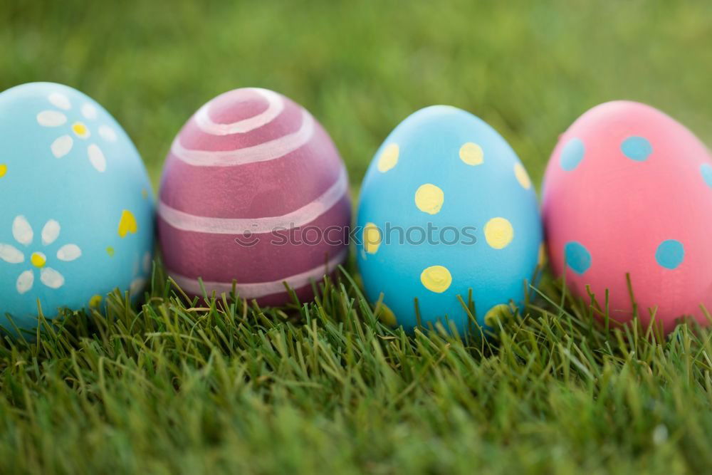 Similar – Easter egg hunt Nature