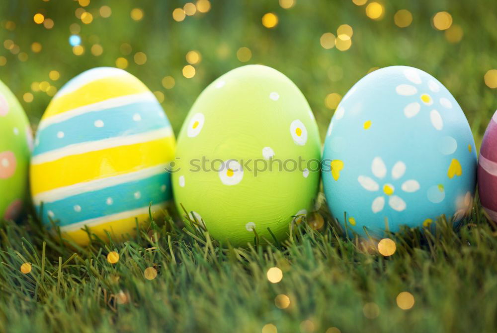 Similar – Easter egg hunt Nature