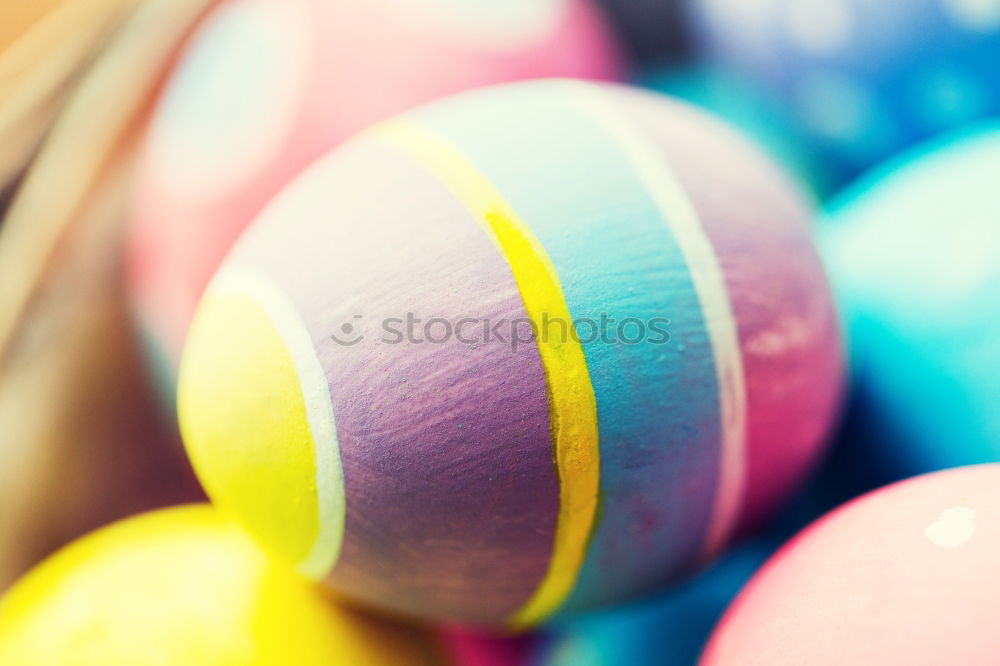 Similar – Easter eggs Yellow Orange