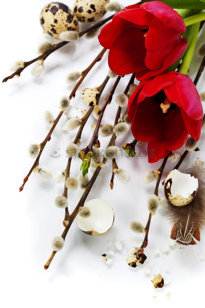 Similar – Image, Stock Photo Holding flowers with hands