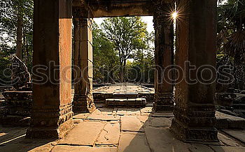 Similar – Tomb Raider Temple, Cambodia