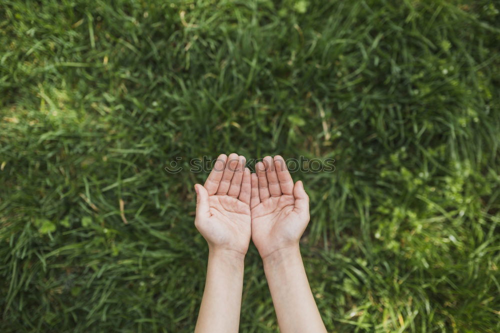 Similar – weibliche Hände in der Natur mit rotem Nagellack