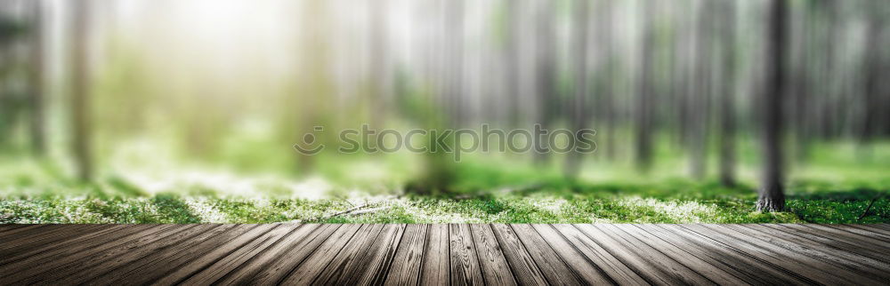 Similar – Image, Stock Photo Just one more… Green