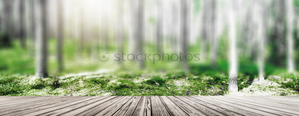 Similar – Foto Bild Schönes Wetter Umwelt