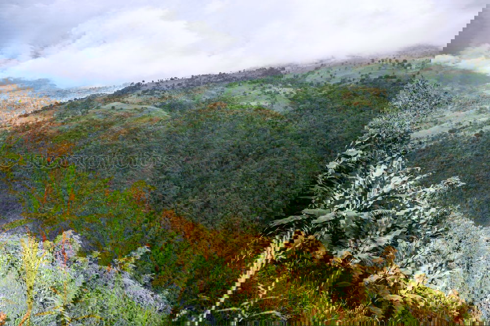 Similar – Image, Stock Photo Honduras 2 Landscape Sky