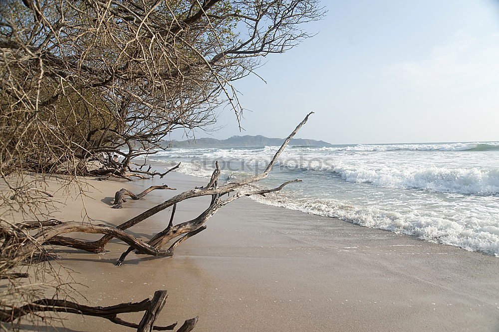 Similar – Image, Stock Photo Santa Barbara Beach