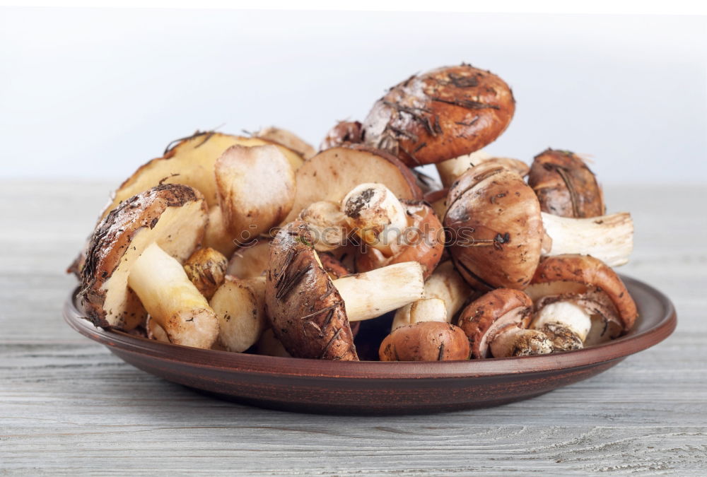 Similar – Image, Stock Photo porcini mushrooms Boletus