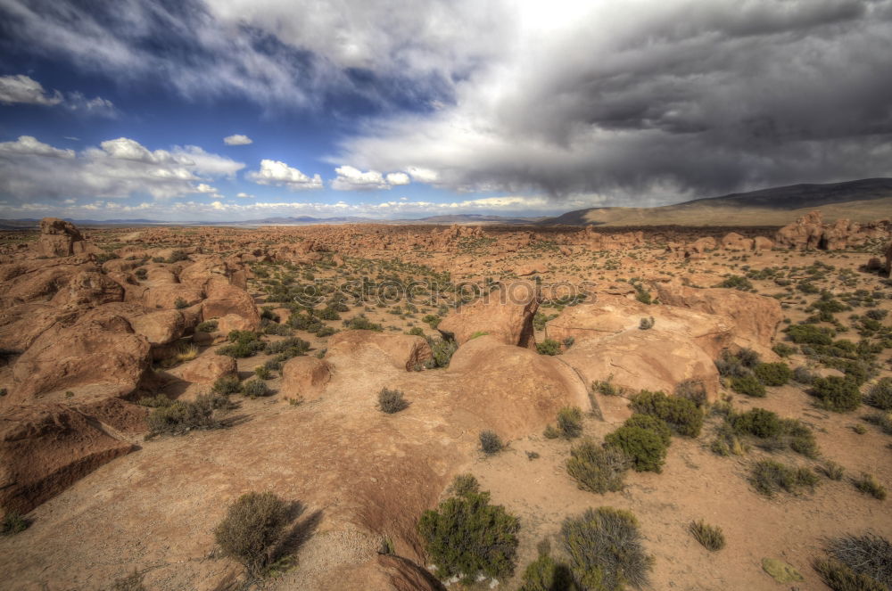 Similar – Joshua Tree National Park