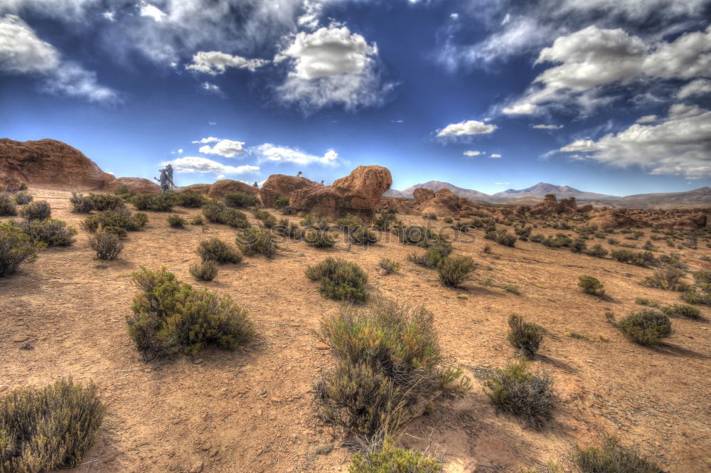 Joshua Tree National Park