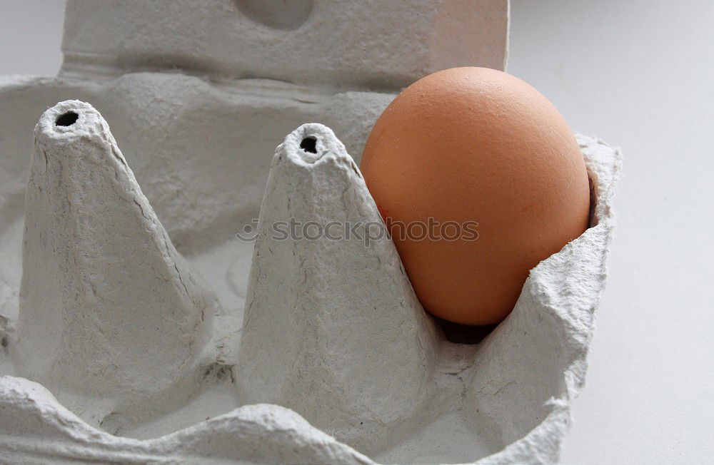 Similar – Image, Stock Photo What’s looking…? Art