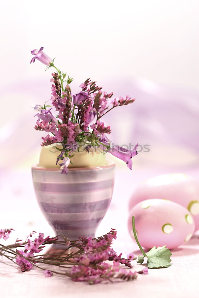 Similar – Pink macaroons and natural flowers on light wooden table