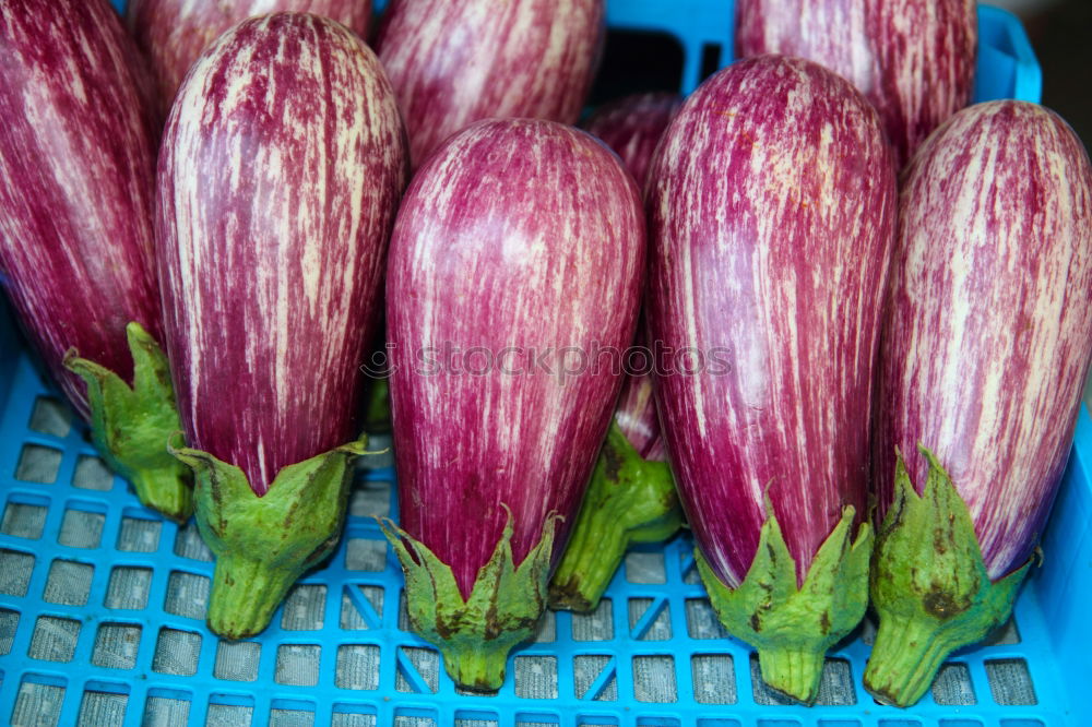 Similar – Image, Stock Photo rhubarb Rhubarb Red