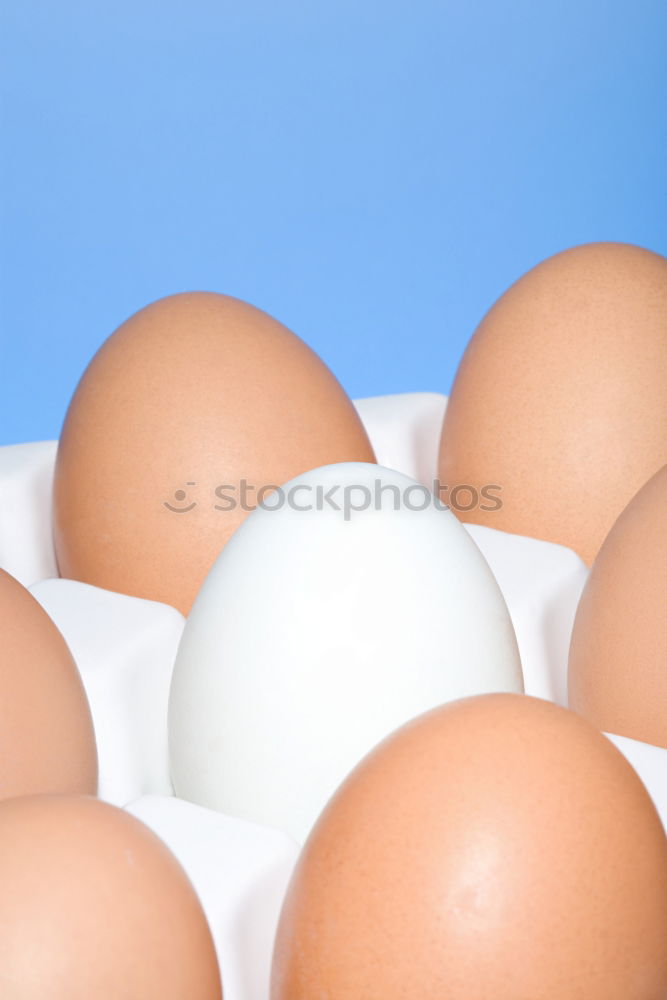 Similar – Image, Stock Photo Karola’s delivery Food Egg