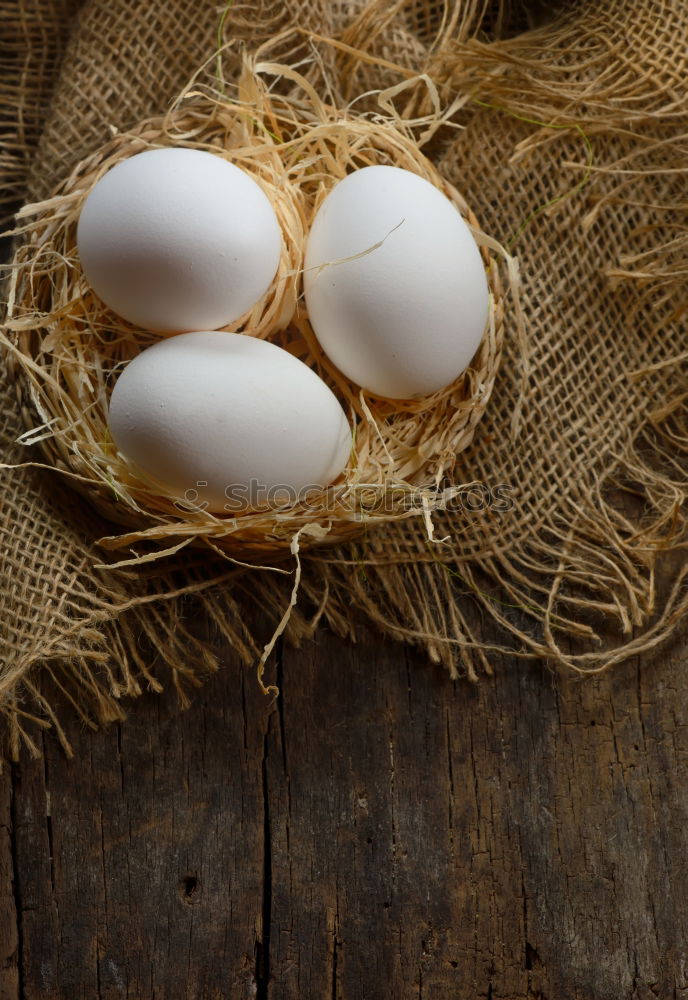 Similar – Image, Stock Photo Raw chicken eggs Eating