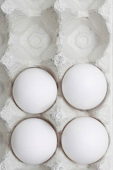 Similar – Eggs Ingredients Food