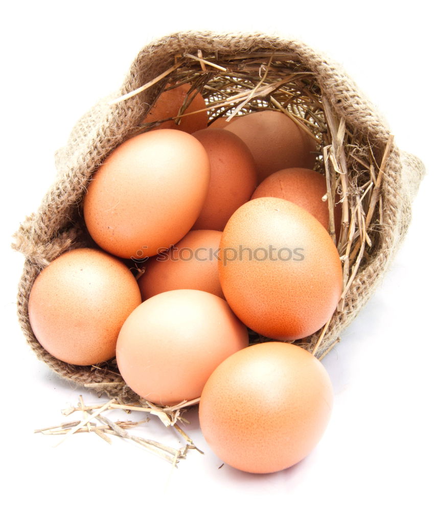 Similar – Natural eggs in nest