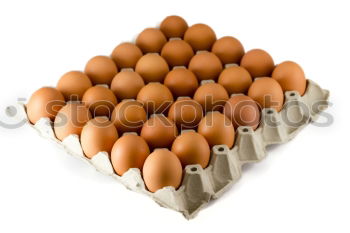 Similar – eggs Food Egg Eggshell