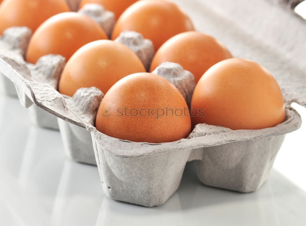 Similar – Image, Stock Photo Time to dye eggs Egg