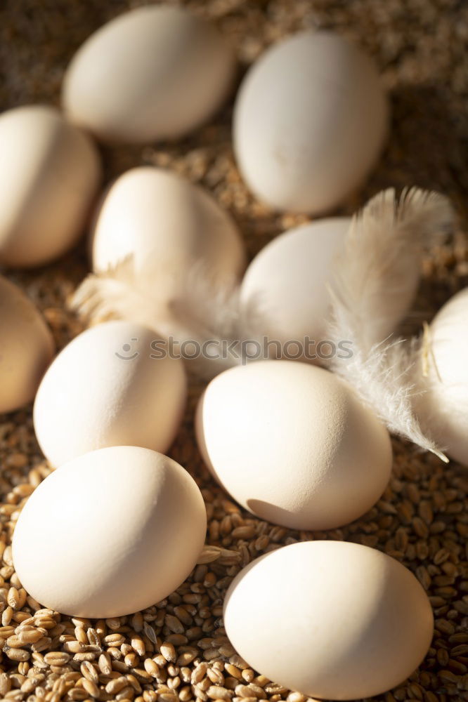 Similar – Image, Stock Photo Easter Egg Hand Child