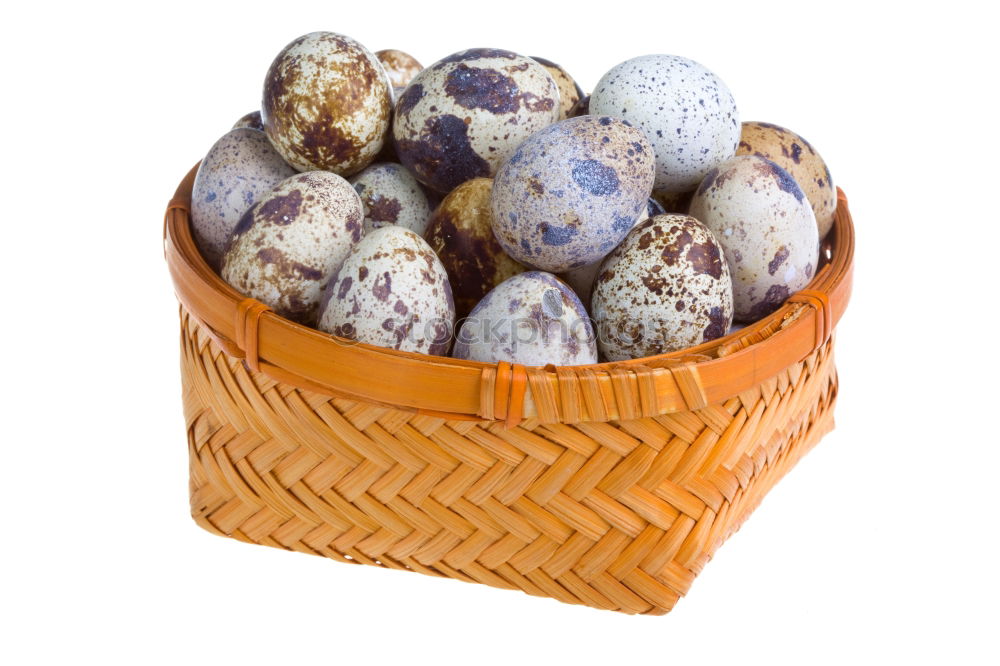 Similar – Image, Stock Photo Group of quail eggs in a gray textile napkin