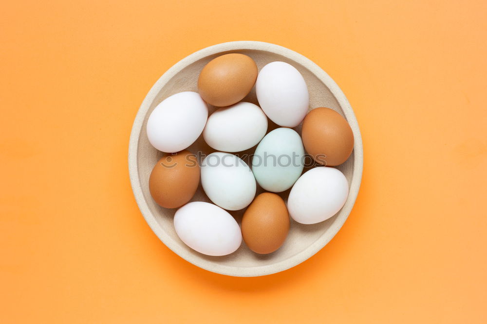 Similar – Image, Stock Photo #A# Easter flower Art