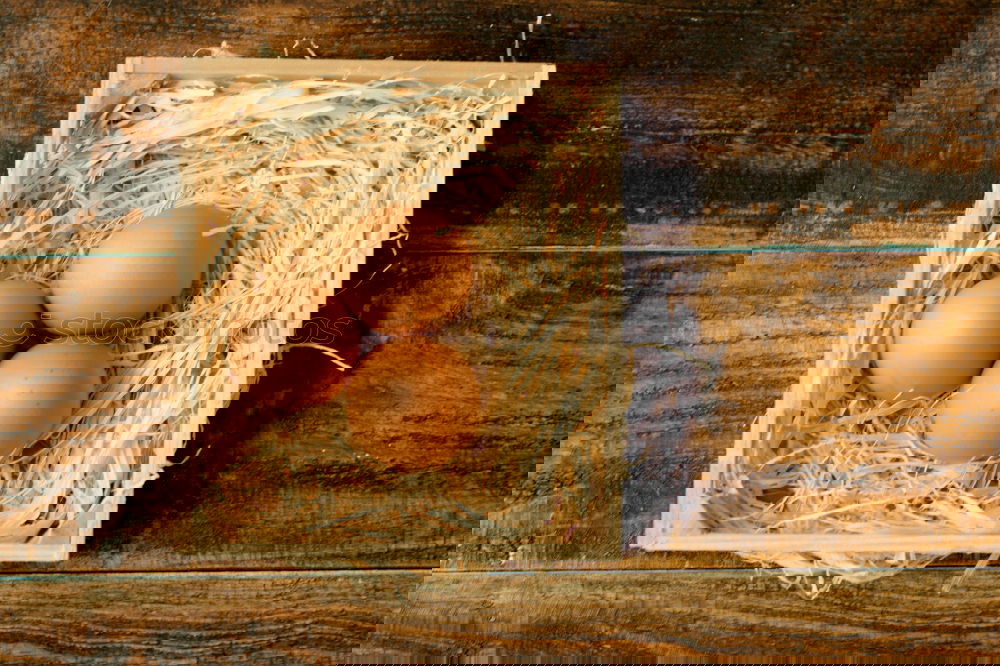 Similar – Image, Stock Photo Fresh chicken eggs in the nest on a rustic background