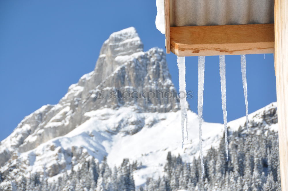 white winter land, wooden sledge