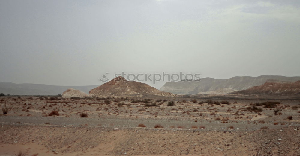 Similar – Image, Stock Photo desert Tree Egypt Desert