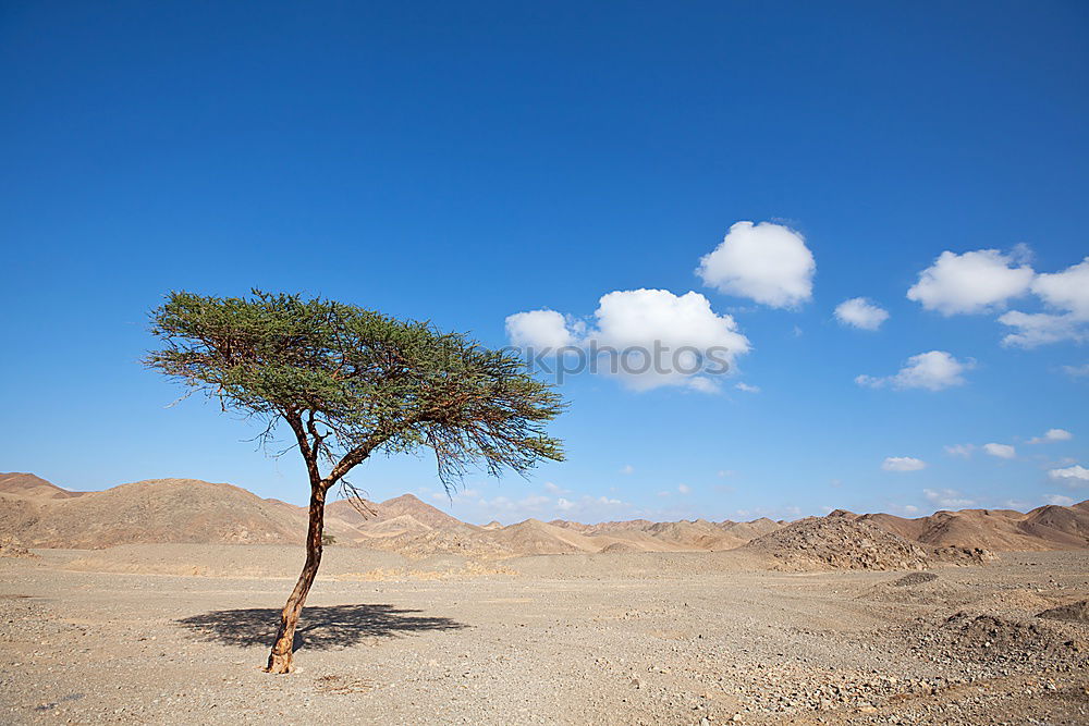 Similar – Image, Stock Photo Cemetery.