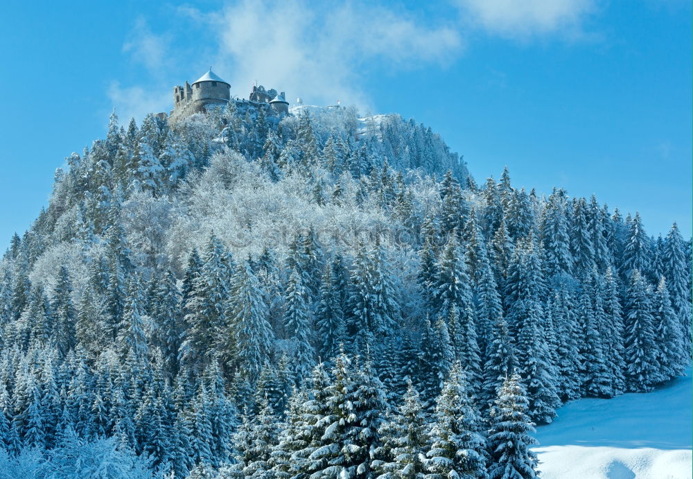 Similar – Neuschwanstein Castle