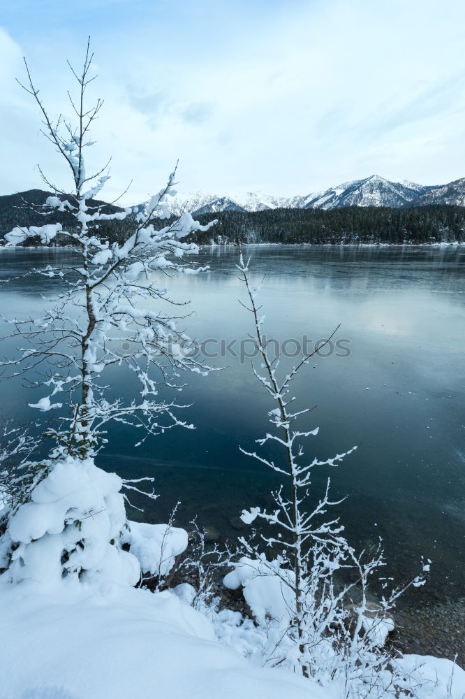 Half-frozen lake in idyllic winter landscape