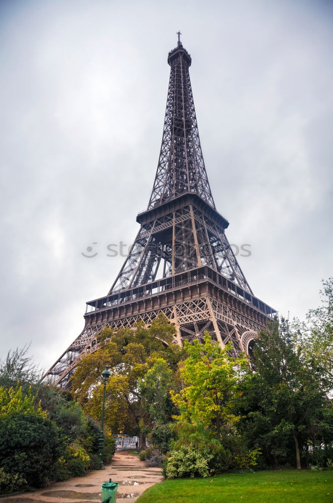 Similar – Image, Stock Photo aspiring Nature Sky