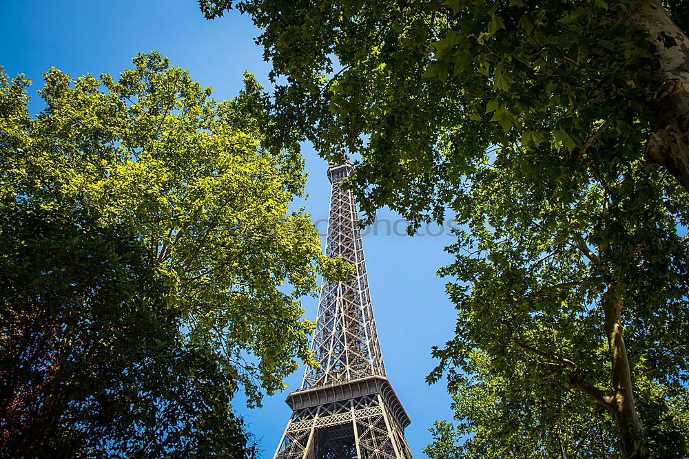 Similar – Foto Bild Eiffelturm Tourismus